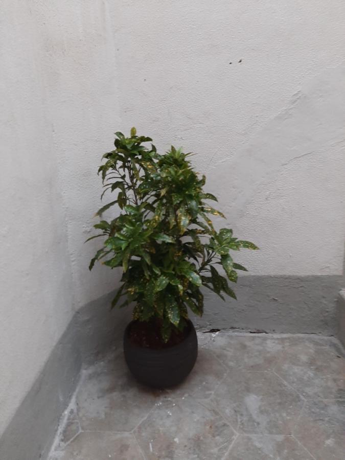 Al Crocifisso...Da Nonna Pia Διαμέρισμα Σαλέρνο Εξωτερικό φωτογραφία